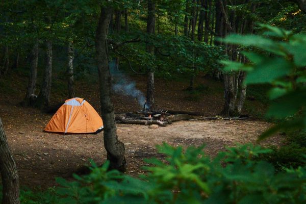 camping1 A bright orange tent in the woods next to a camp fire