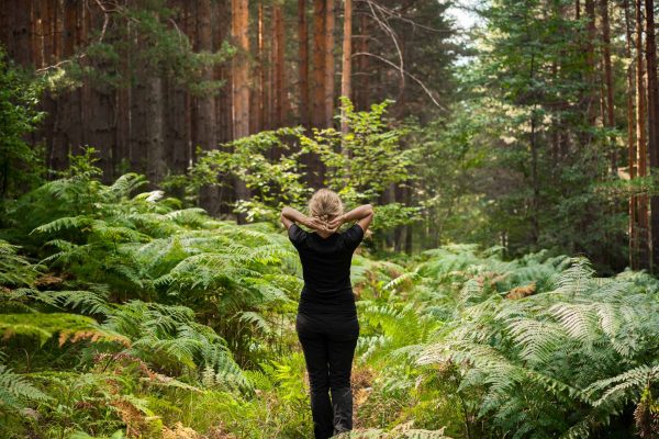 forestBathing A lady forest bathing in the woods