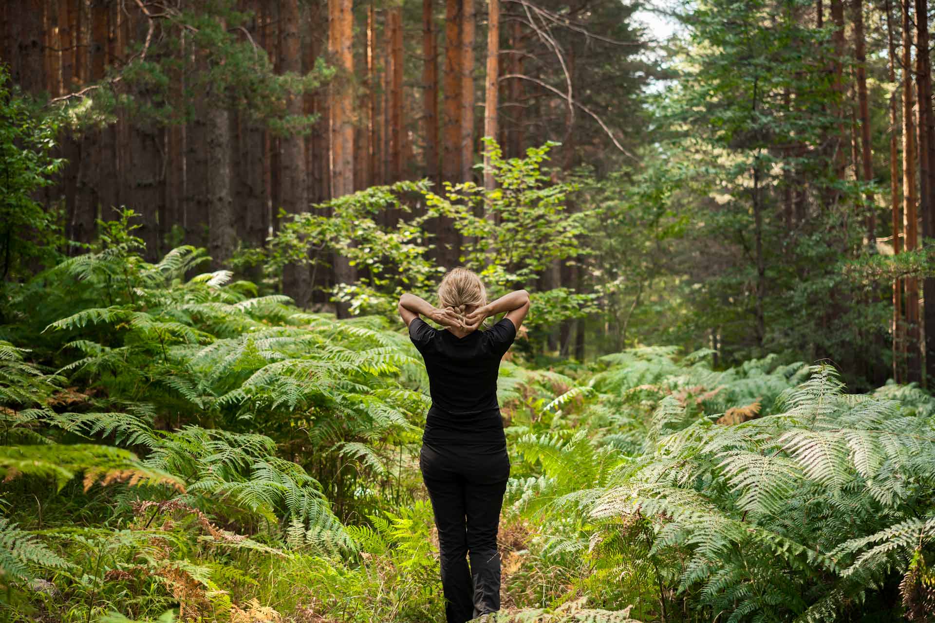 A lady forest bathing in the woods