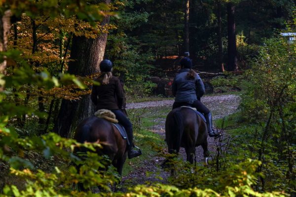 horseRiding1 Two visitors riding a horse through the woods