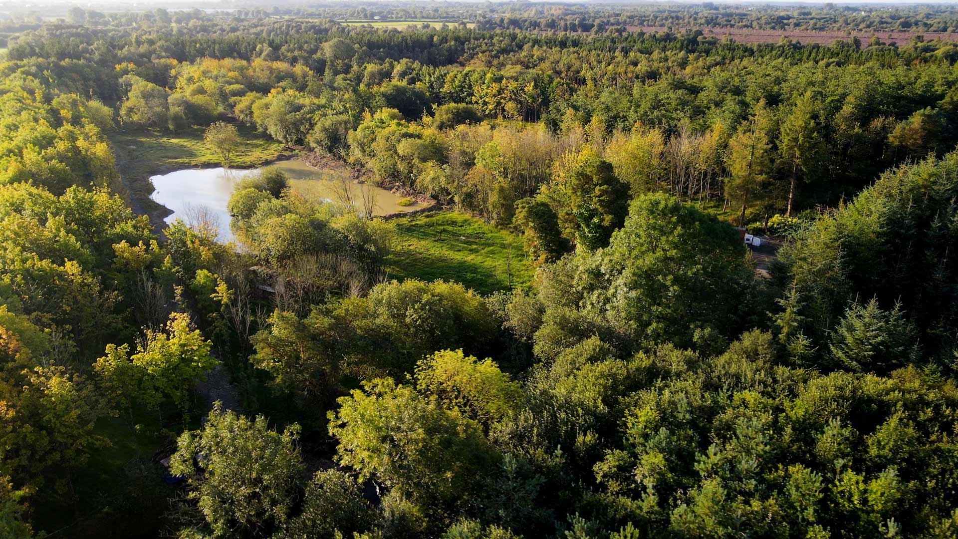 An aerial shot of the woodlands around Fiorbhia Farm