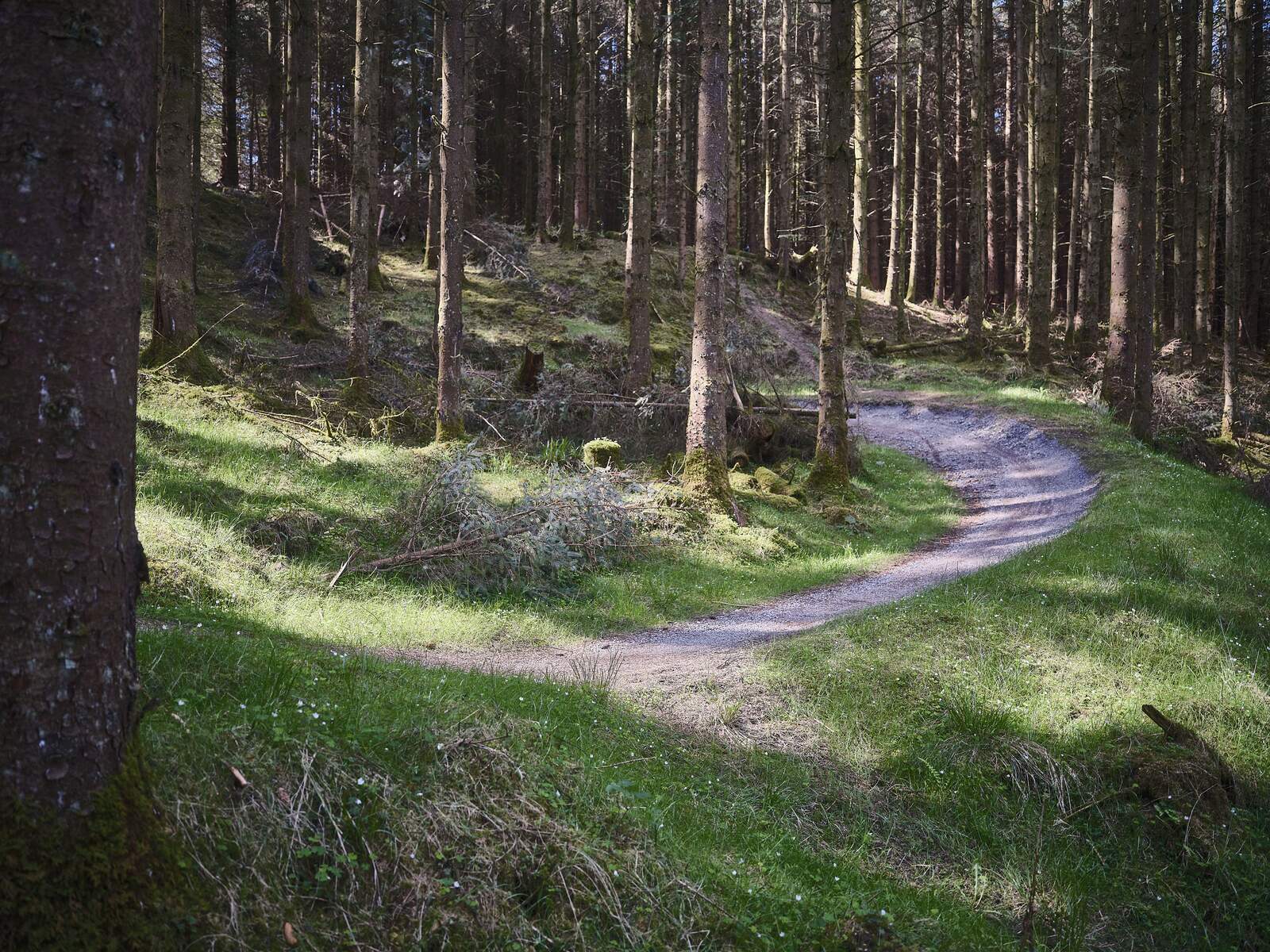 Slieve Bloom Mountain Trail