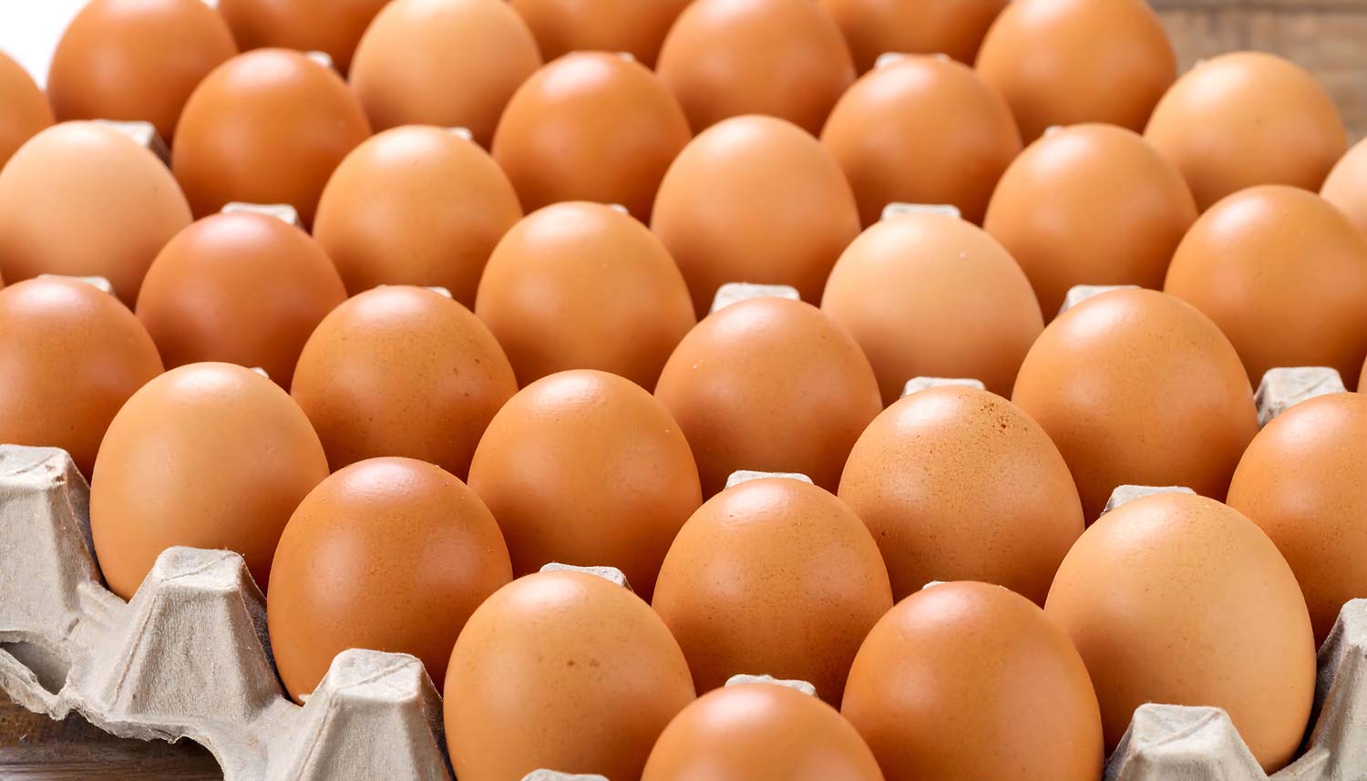 30eggs 30 large forest free range pastured eggs
