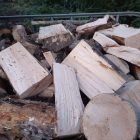 Fresh firewood