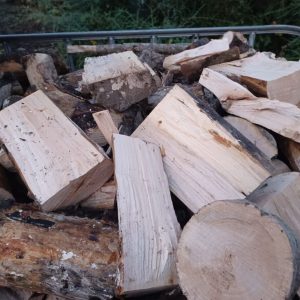 Fresh firewood