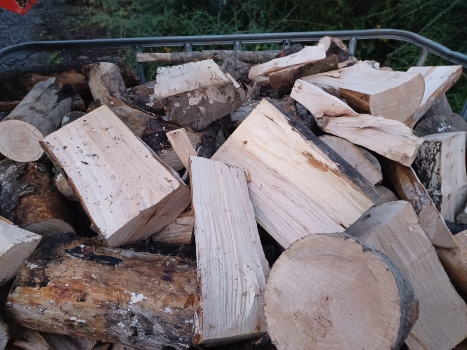 3463232034 Fresh firewood