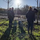 Visitors walking in the woods