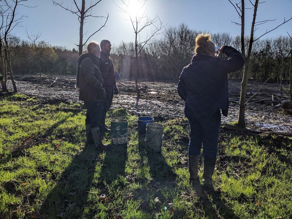 Visitors walking in the woods