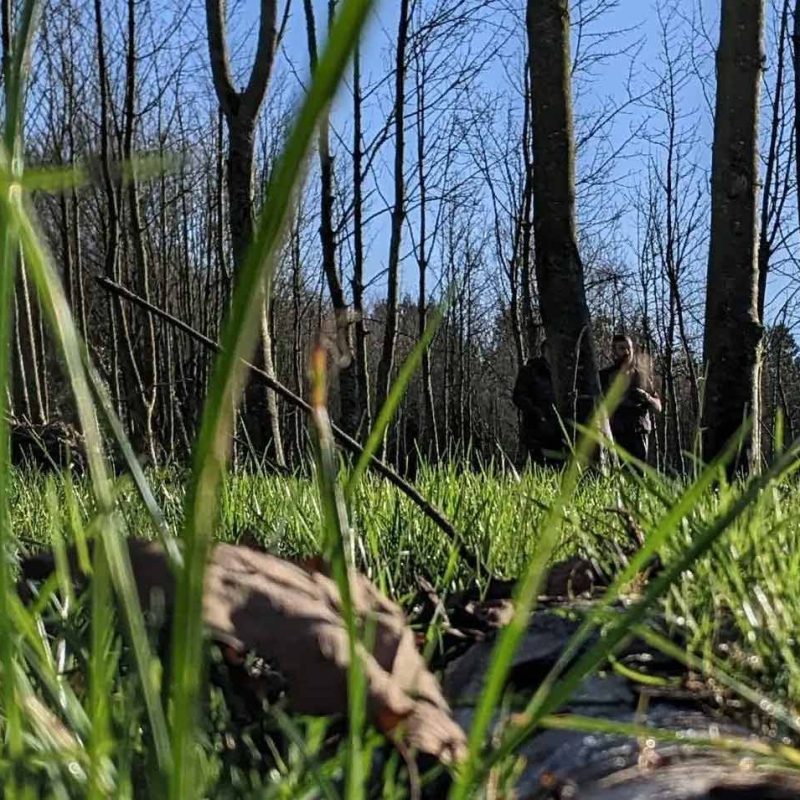 Brendan standing in the woods