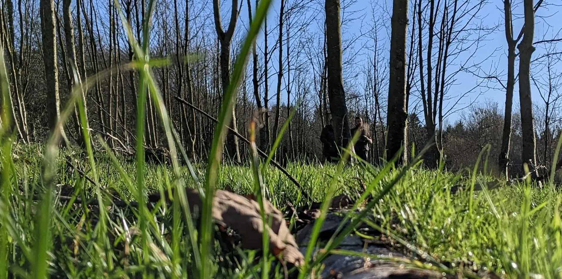 Brendan standing in the woods